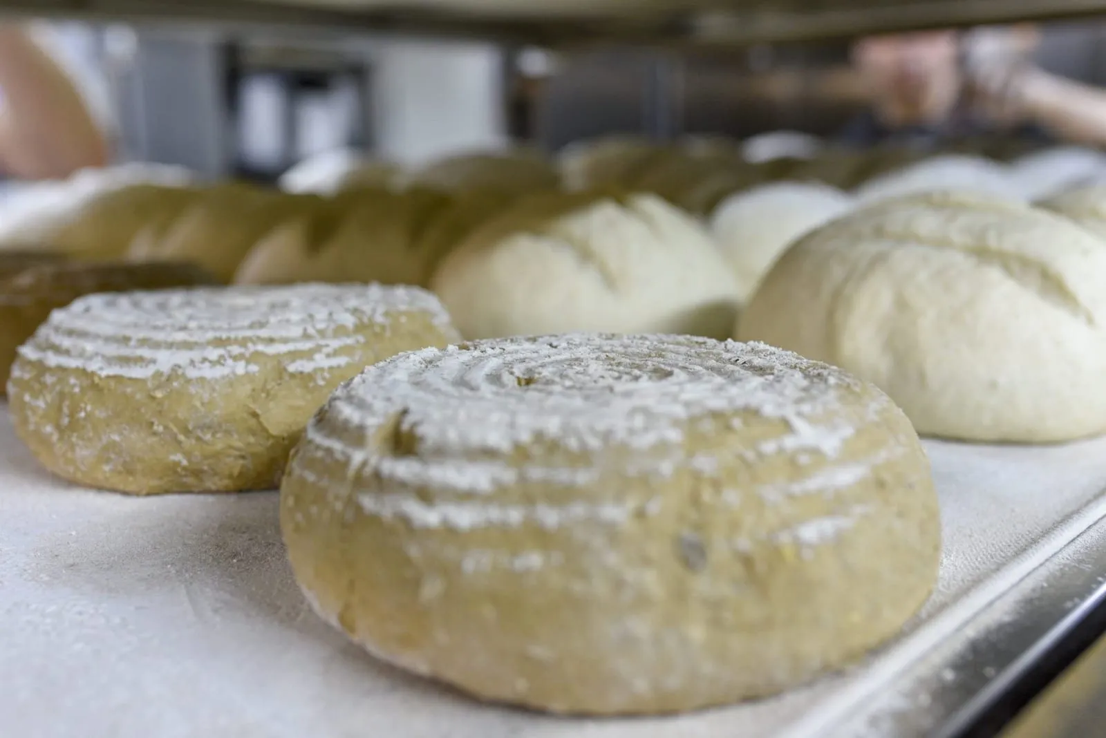 Bebloemde deegbollen die rusten voor het bakken